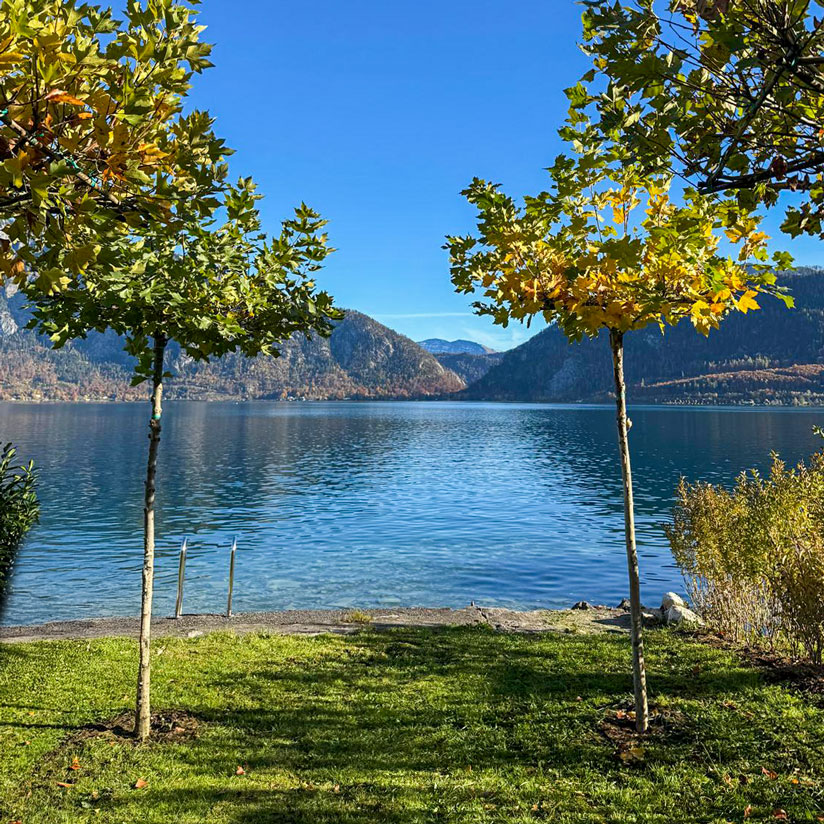 Naturnaher Garten mit Blick auf See und Berge im Raum Salzburg